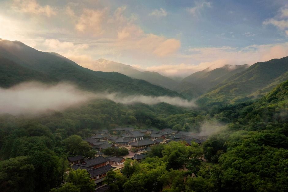 송광사(순천) 여행 추천 - 메고지고 송광사(순천) 여행 추천 - 메고지고