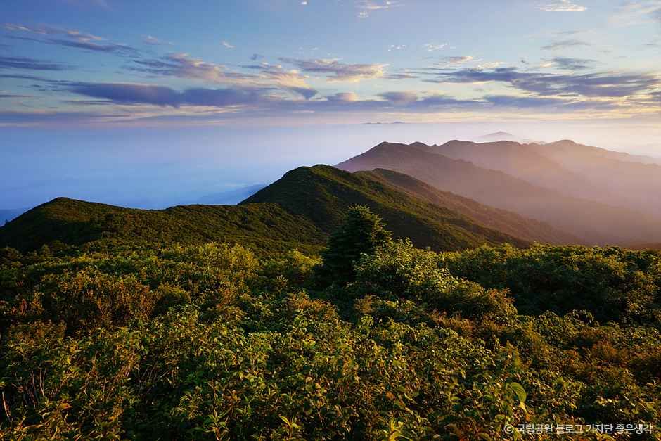 지리산 만복대 여행 추천 - 메고지고 지리산 만복대 여행 추천 - 메고지고