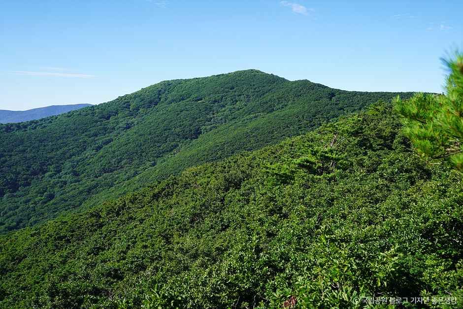 지리산 만복대 여행 추천 - 메고지고 지리산 만복대 여행 추천 - 메고지고