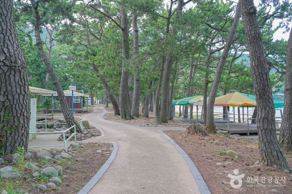 덕흥해수욕장 여행 추천 - 메고지고 덕흥해수욕장 여행 추천 - 메고지고
