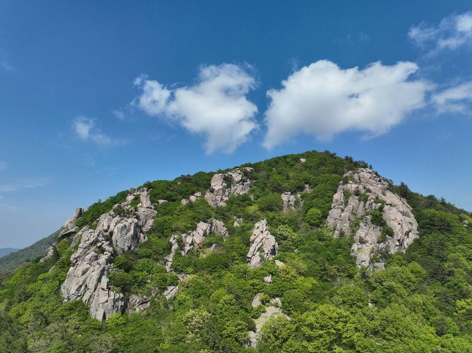 마복산(고흥) 여행 추천 - 메고지고 마복산(고흥) 여행 추천 - 메고지고