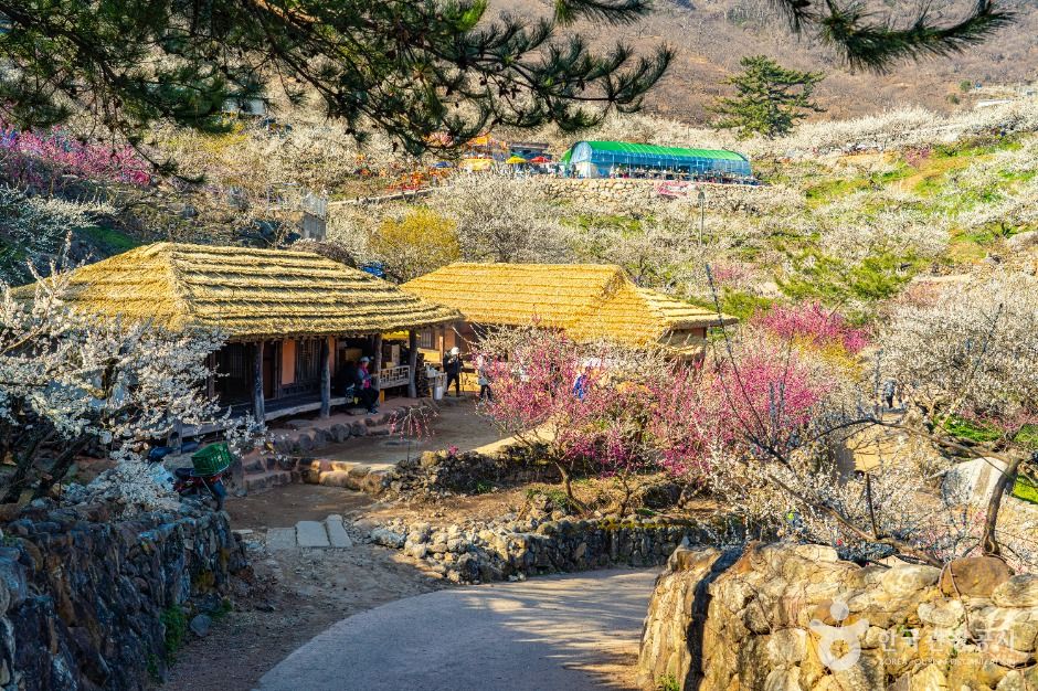 홍쌍리 청매실농원 여행 추천 - 메고지고 홍쌍리 청매실농원 여행 추천 - 메고지고