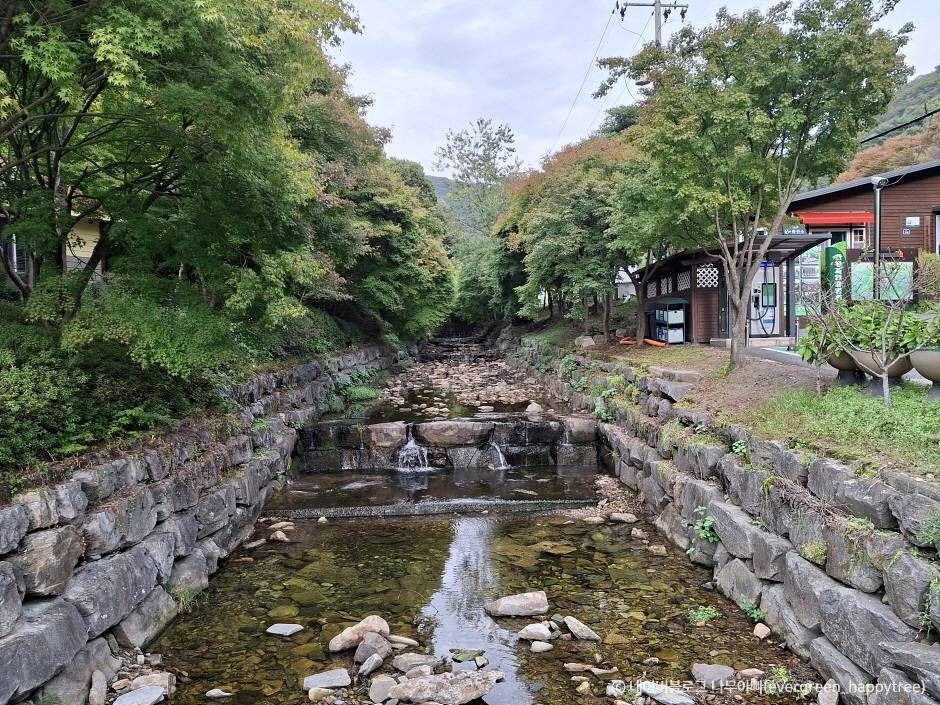 한천자연휴양림 여행 추천 - 메고지고 한천자연휴양림 여행 추천 - 메고지고