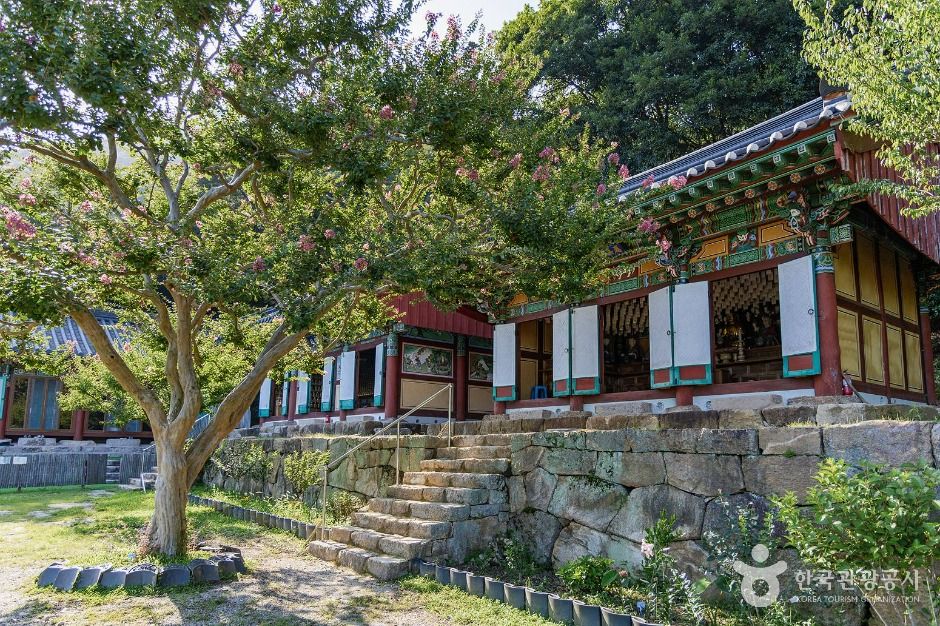 백련사(강진) 여행 추천 - 메고지고