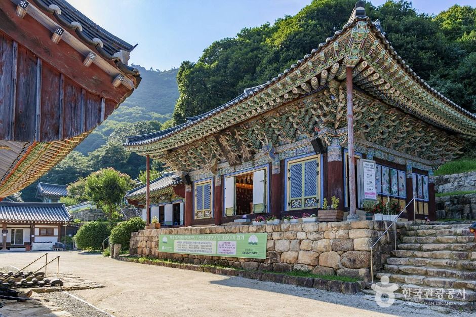 백련사(강진) 여행 추천 - 메고지고