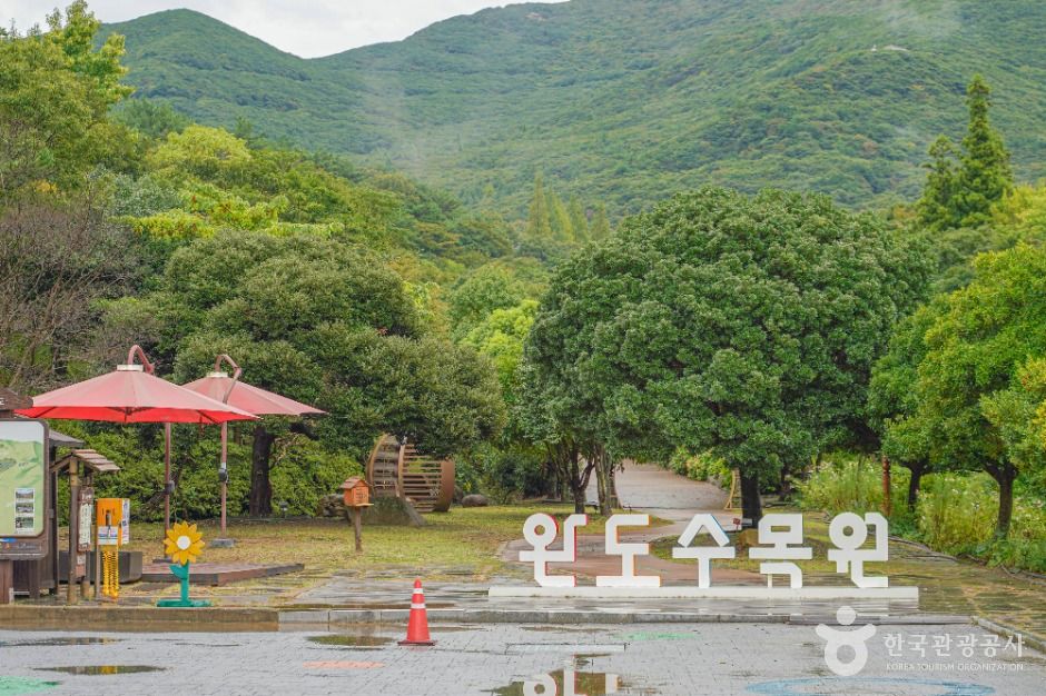 완도수목원 여행 추천 - 메고지고 완도수목원 여행 추천 - 메고지고