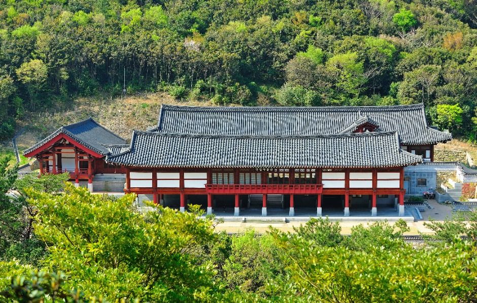 완도수목원 여행 추천 - 메고지고 완도수목원 여행 추천 - 메고지고