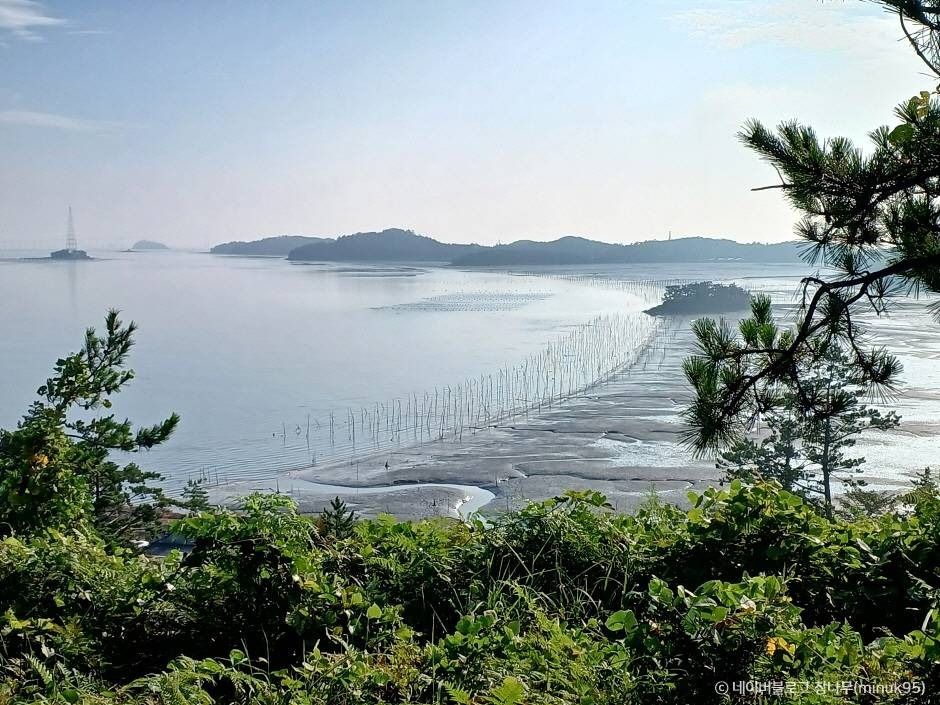 팔금도 여행 추천 - 메고지고