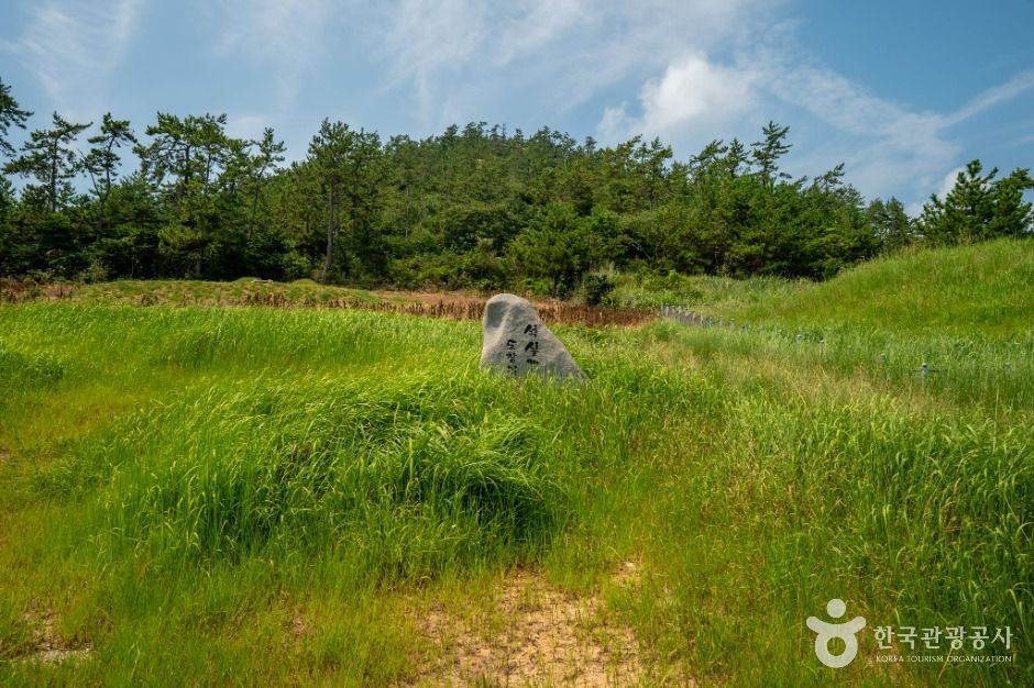 장산도 여행 추천 - 메고지고 장산도 여행 추천 - 메고지고
