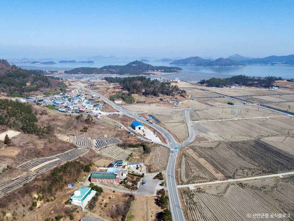 신의도 여행 추천 - 메고지고