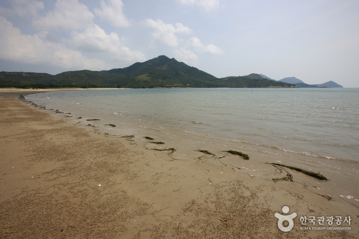 도초 시목해수욕장 여행 추천 - 메고지고