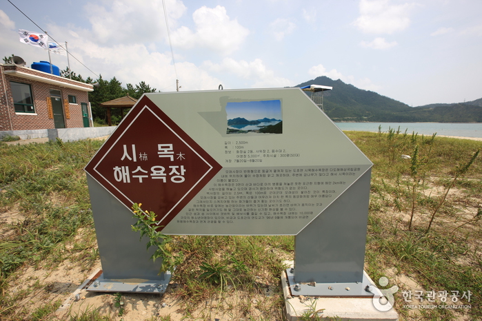 도초 시목해수욕장 여행 추천 - 메고지고