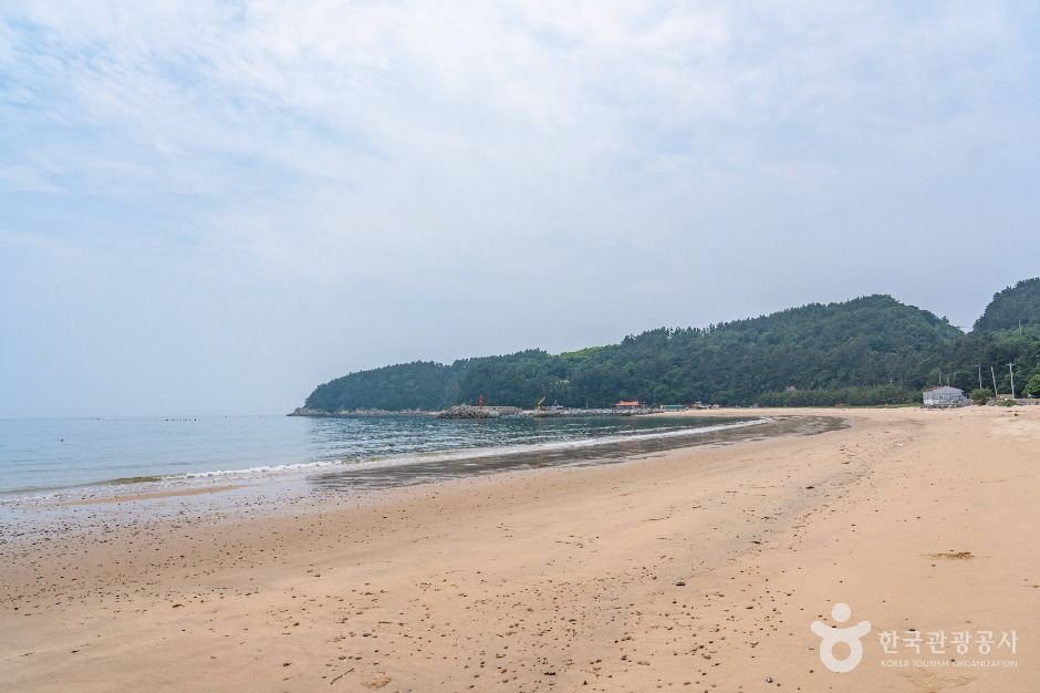 익금해수욕장 여행 추천 - 메고지고 익금해수욕장 여행 추천 - 메고지고