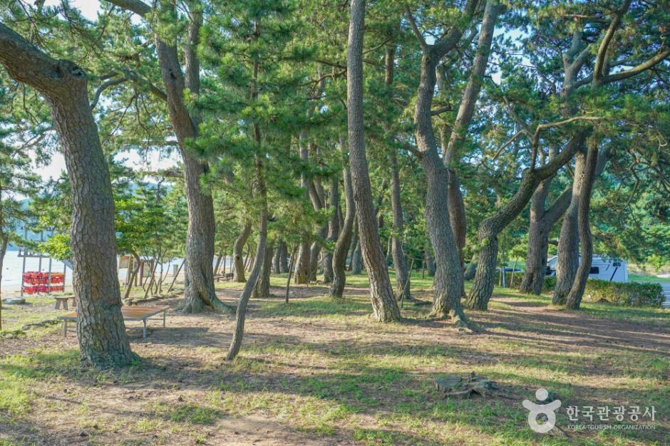 나로우주해수욕장 여행 추천 - 메고지고