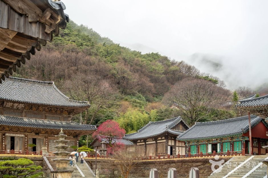 화엄사 여행 추천 - 메고지고 화엄사 여행 추천 - 메고지고