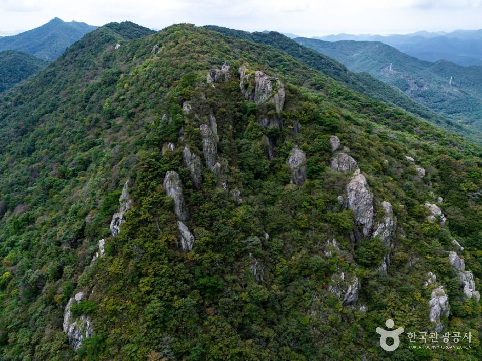 영취산(여수) 여행 추천 - 메고지고 영취산(여수) 여행 추천 - 메고지고
