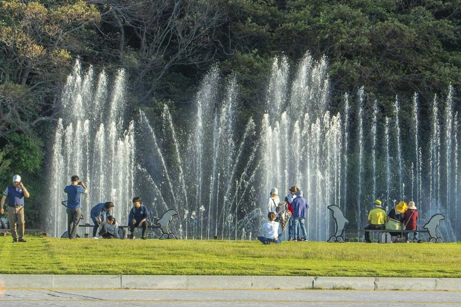 한려해상국립공원 (오동도) 여행 추천 - 메고지고 한려해상국립공원 (오동도) 여행 추천 - 메고지고