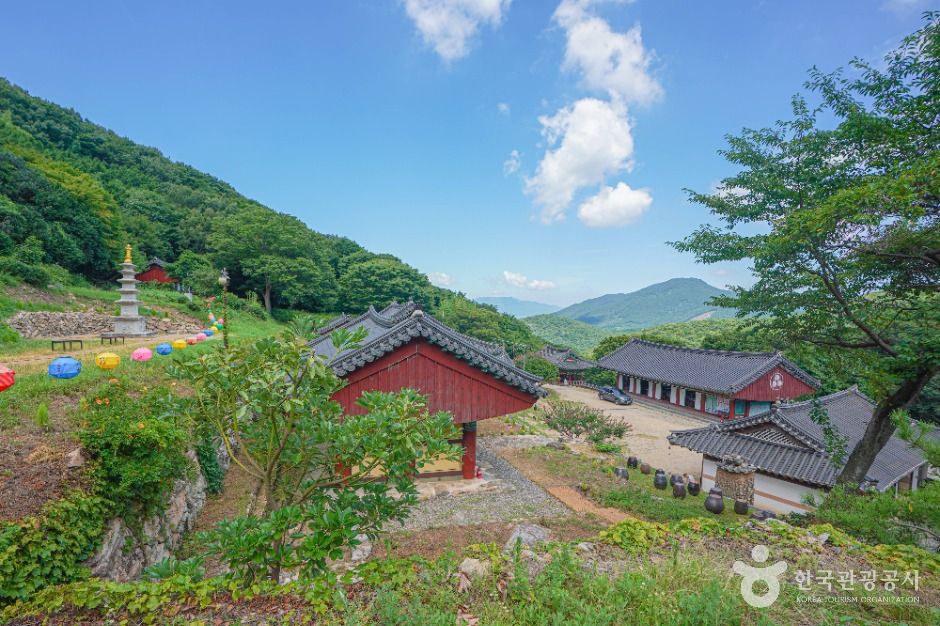 금탑사(고흥) 여행 추천 - 메고지고