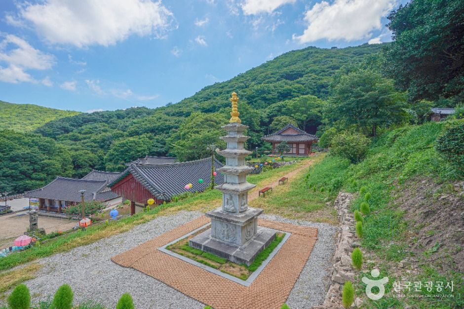 금탑사(고흥) 여행 추천 - 메고지고