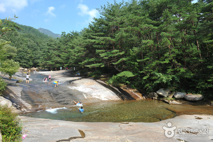 도림사 계곡 여행 추천 - 메고지고