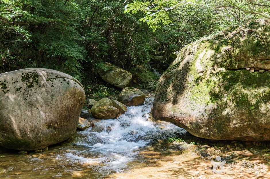 금릉경포대 여행 추천 - 메고지고