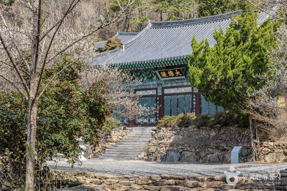 금둔사 여행 추천 - 메고지고 금둔사 여행 추천 - 메고지고