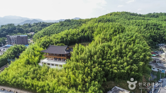 죽녹원 여행 추천 - 메고지고