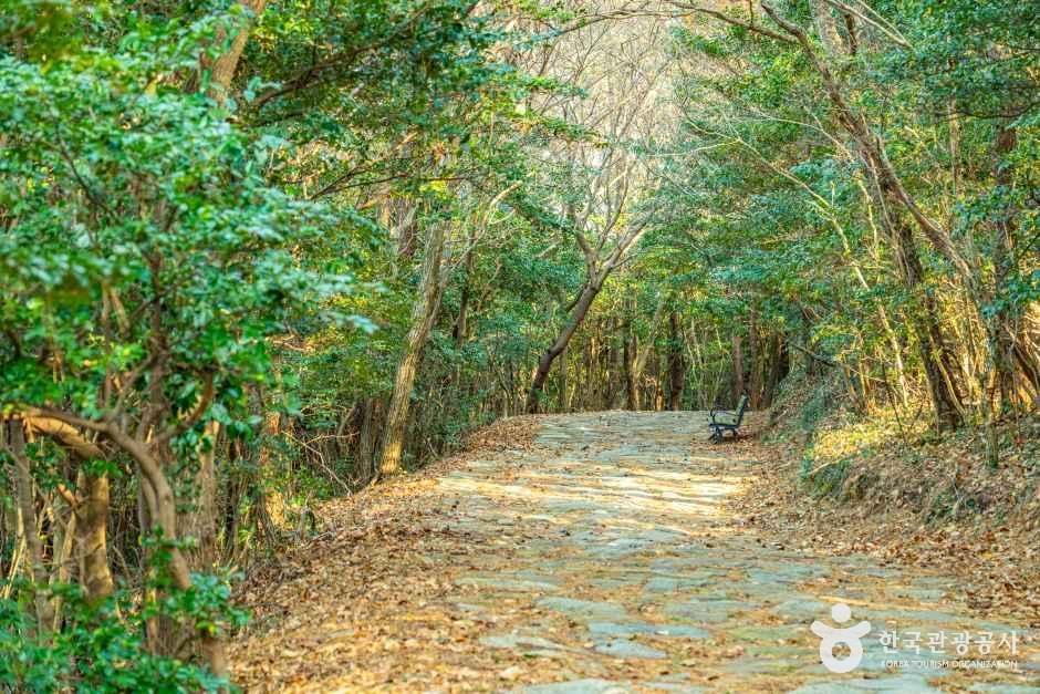 우암 송시열 글쓴바위 여행 추천 - 메고지고