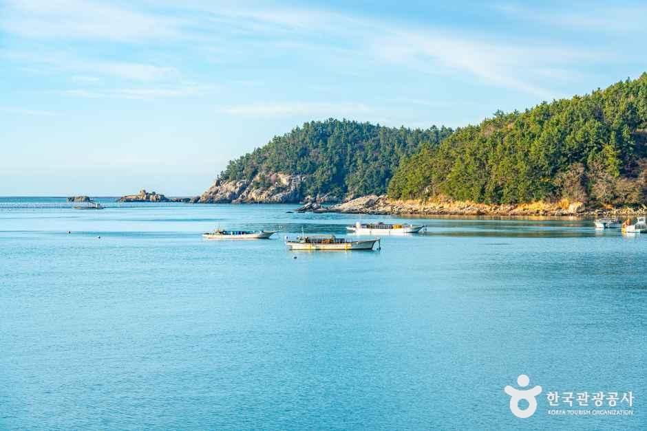 진산리해수욕장 여행 추천 - 메고지고 진산리해수욕장 여행 추천 - 메고지고