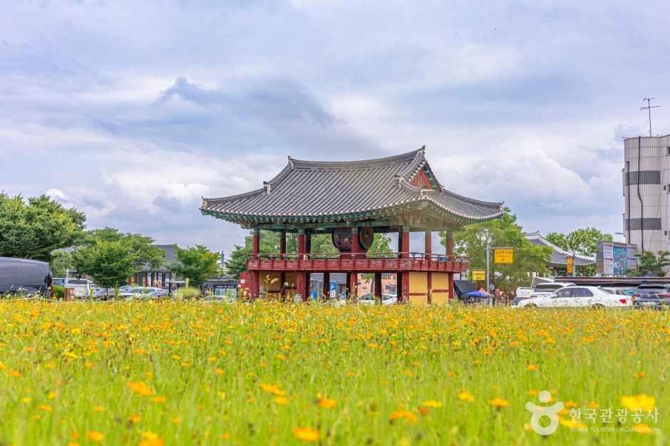 정수루 여행 추천 - 메고지고 정수루 여행 추천 - 메고지고