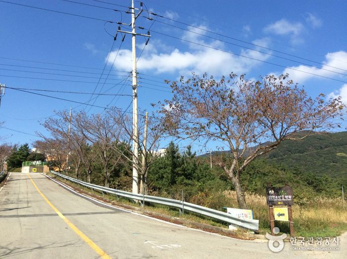 완도청소년수련원 여행 추천 - 메고지고 완도청소년수련원 여행 추천 - 메고지고