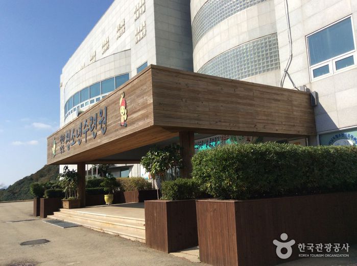 완도청소년수련원 여행 추천 - 메고지고 완도청소년수련원 여행 추천 - 메고지고