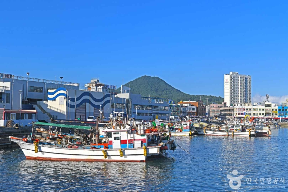 녹동항 여행 추천 - 메고지고