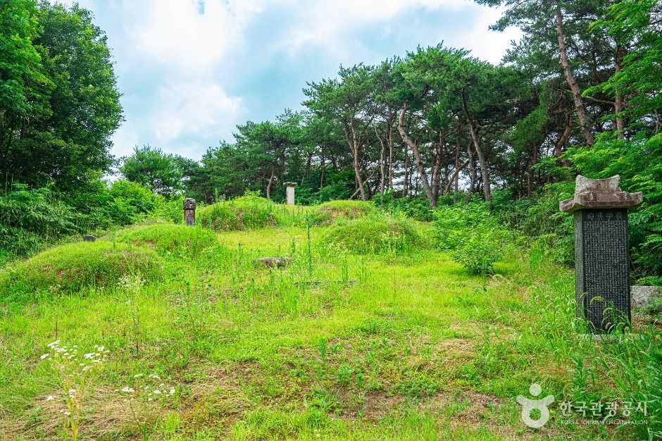양송천묘역 여행 추천 - 메고지고 양송천묘역 여행 추천 - 메고지고