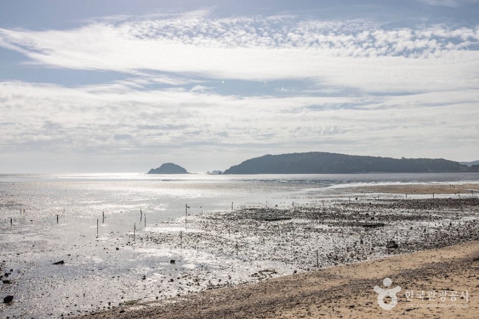 영종도 마시안해변 여행 추천 - 메고지고 영종도 마시안해변 여행 추천 - 메고지고