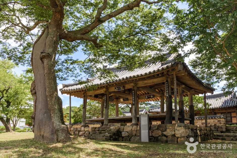영팔정 여행 추천 - 메고지고 영팔정 여행 추천 - 메고지고