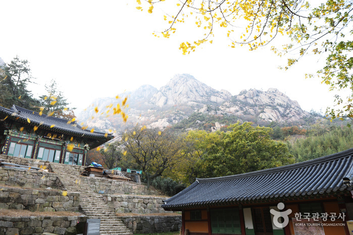 천황사(영암) 여행 추천 - 메고지고