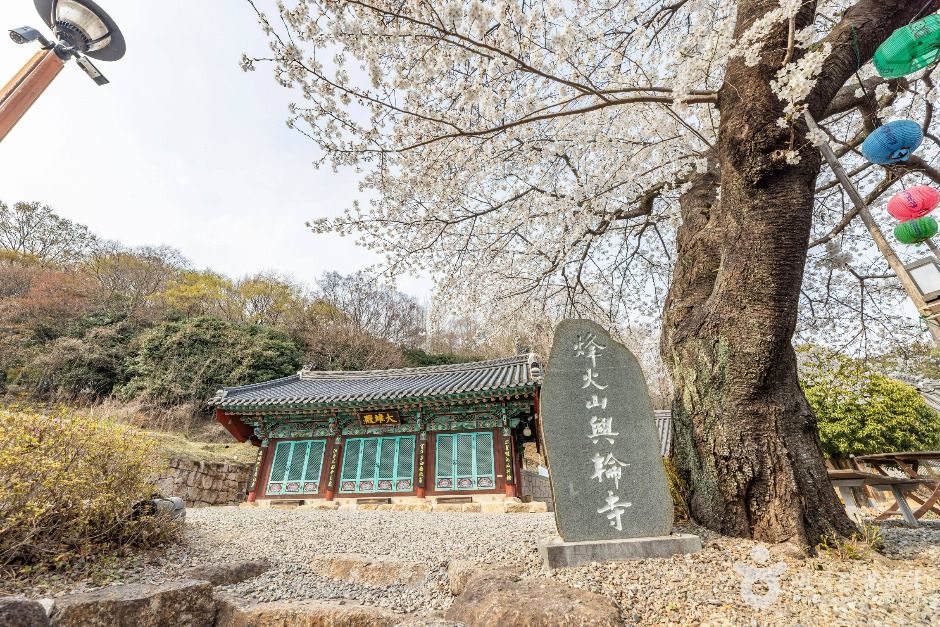 흥륜사(순천) 여행 추천 - 메고지고 흥륜사(순천) 여행 추천 - 메고지고