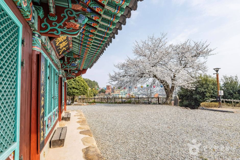 흥륜사(순천) 여행 추천 - 메고지고 흥륜사(순천) 여행 추천 - 메고지고