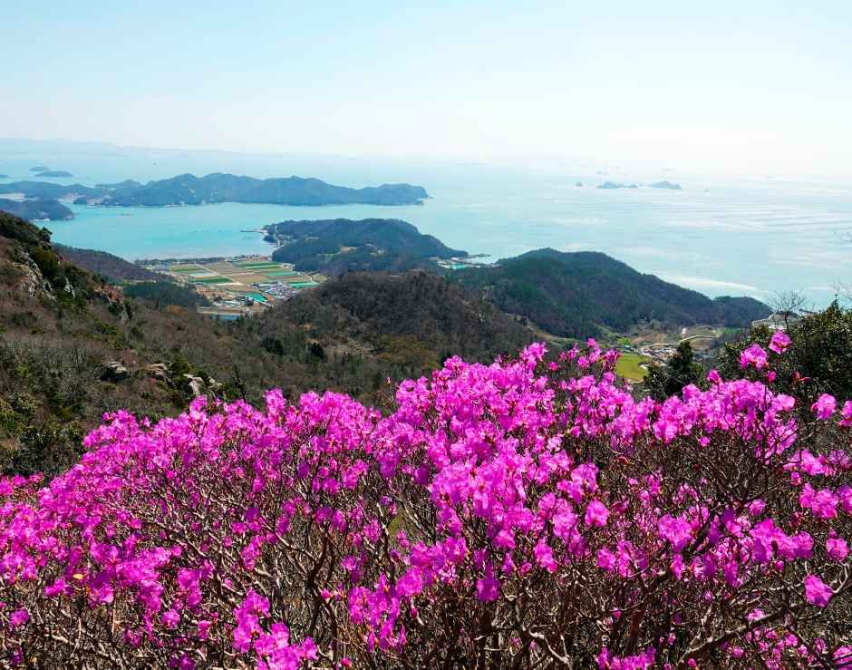 여귀산 여행 추천 - 메고지고 여귀산 여행 추천 - 메고지고