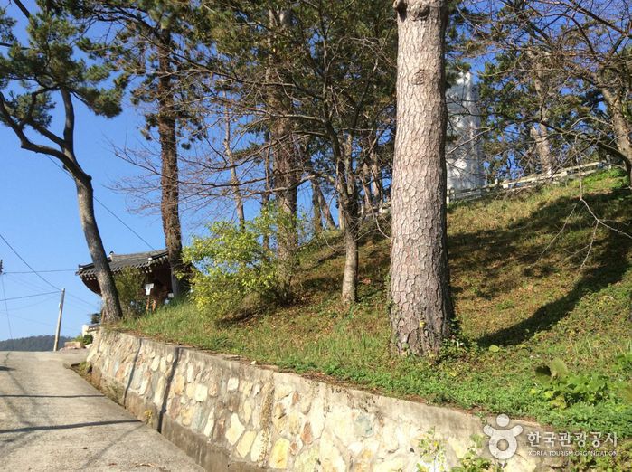 보은산 여행 추천 - 메고지고