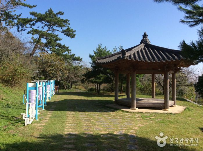 보은산 여행 추천 - 메고지고
