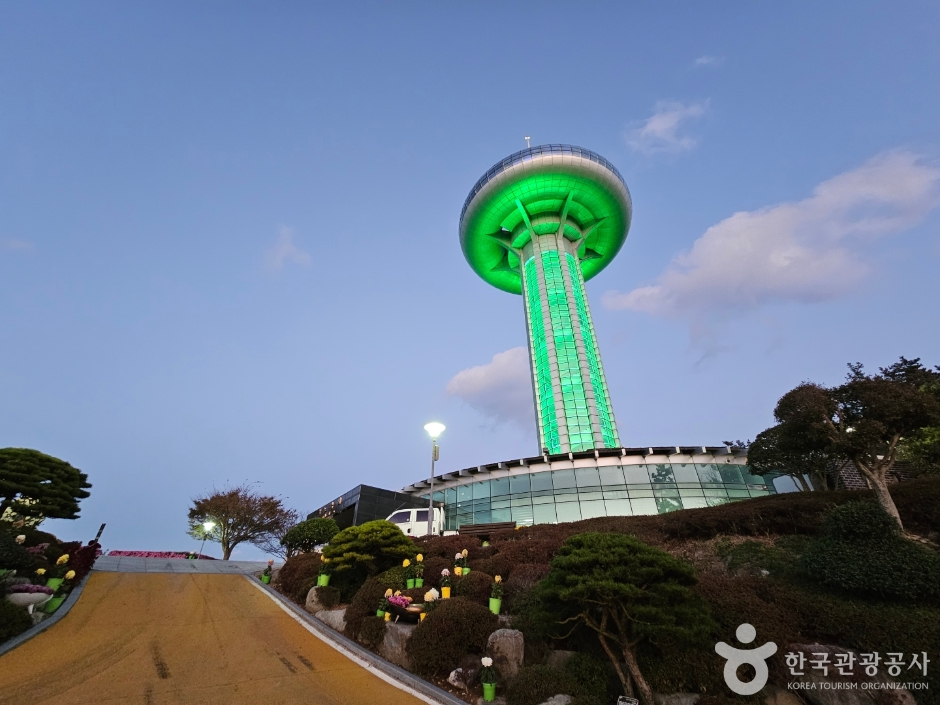 완도타워 여행 추천 - 메고지고 완도타워 여행 추천 - 메고지고