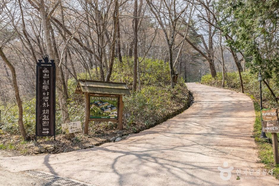 순천전통야생차체험관 여행 추천 - 메고지고 순천전통야생차체험관 여행 추천 - 메고지고