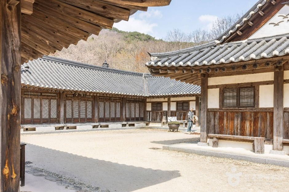 순천전통야생차체험관 여행 추천 - 메고지고 순천전통야생차체험관 여행 추천 - 메고지고