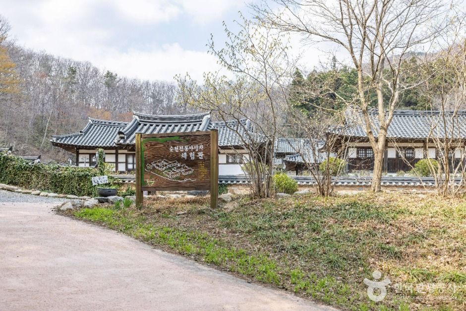 순천전통야생차체험관 여행 추천 - 메고지고 순천전통야생차체험관 여행 추천 - 메고지고