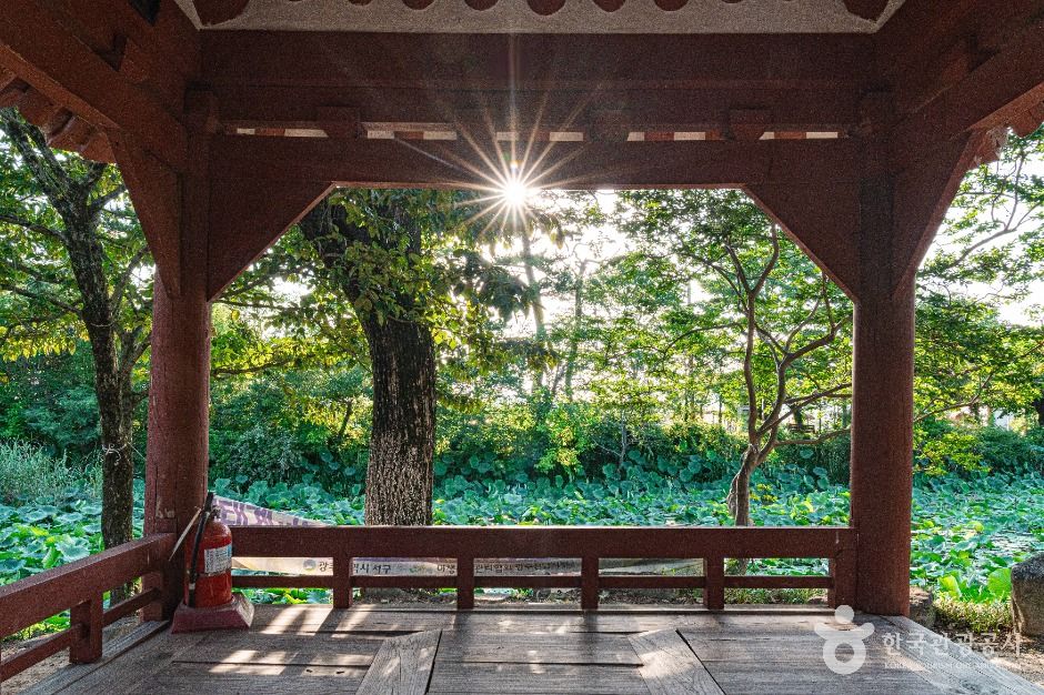 만귀정 여행 추천 - 메고지고 만귀정 여행 추천 - 메고지고
