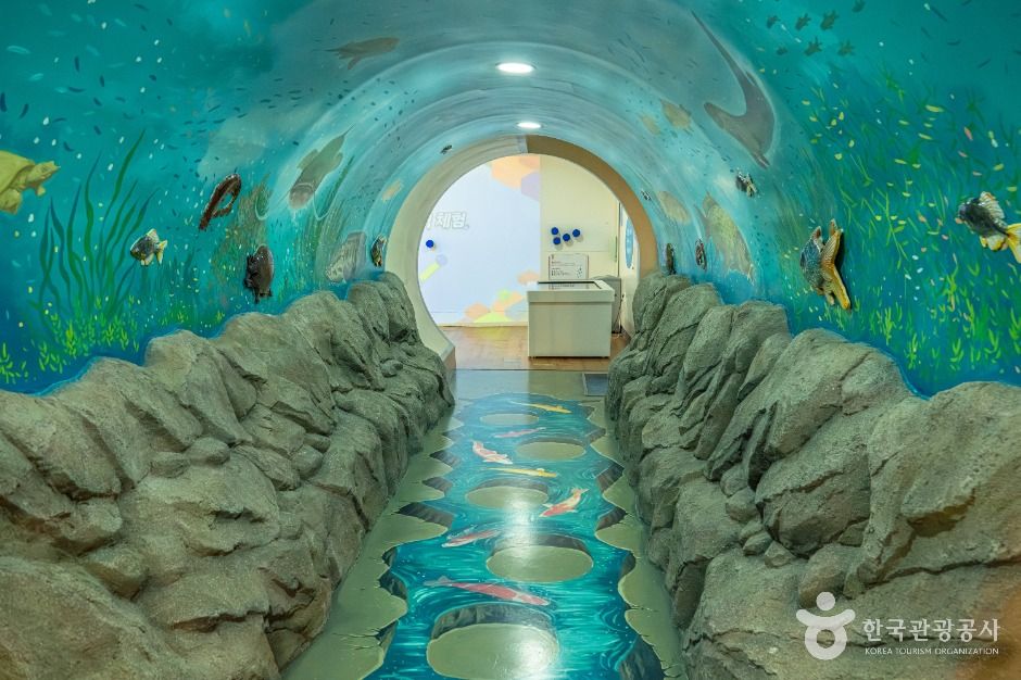 물사랑 배움터 여행 추천 - 메고지고 물사랑 배움터 여행 추천 - 메고지고