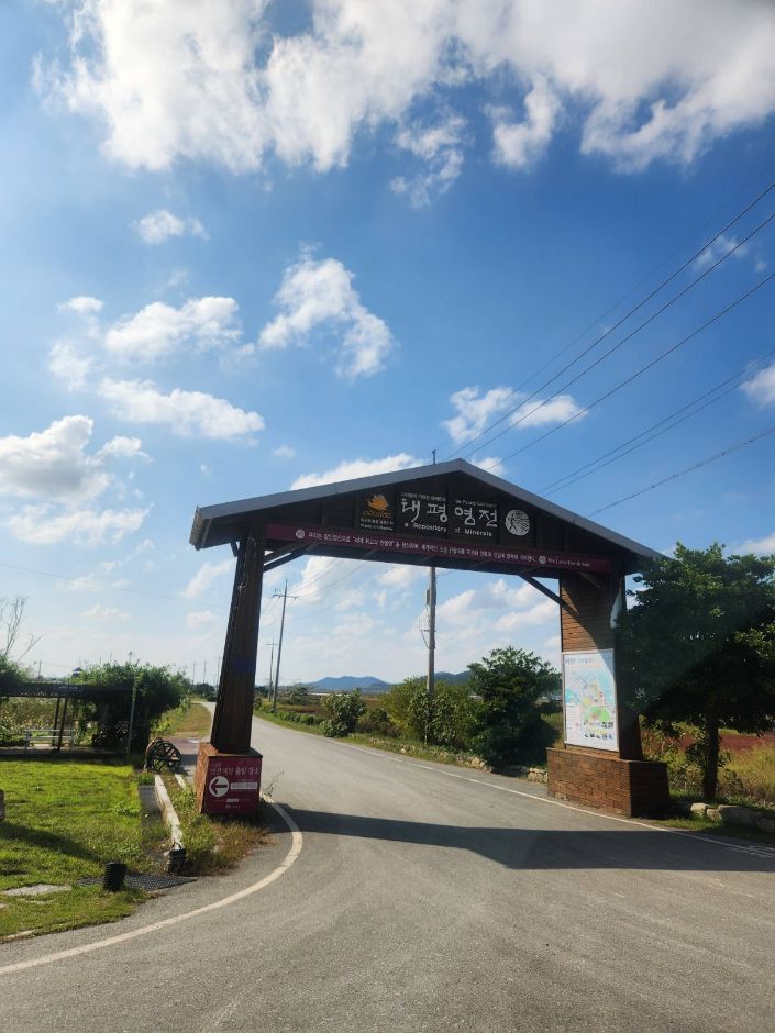 태평염생식물원 여행 추천 - 메고지고 태평염생식물원 여행 추천 - 메고지고
