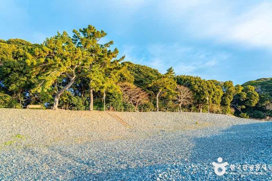 미라리해수욕장 여행 추천 - 메고지고 미라리해수욕장 여행 추천 - 메고지고